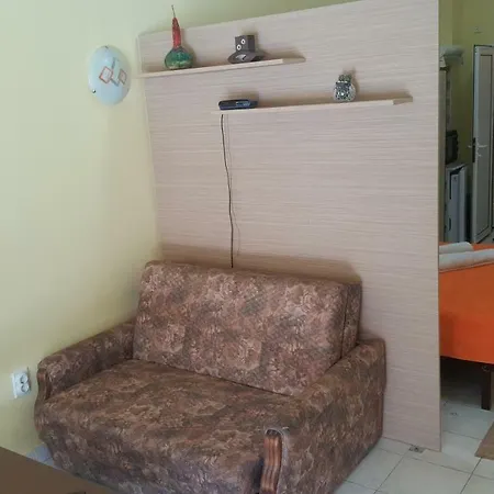 Tref 1 * 索科矿泉村